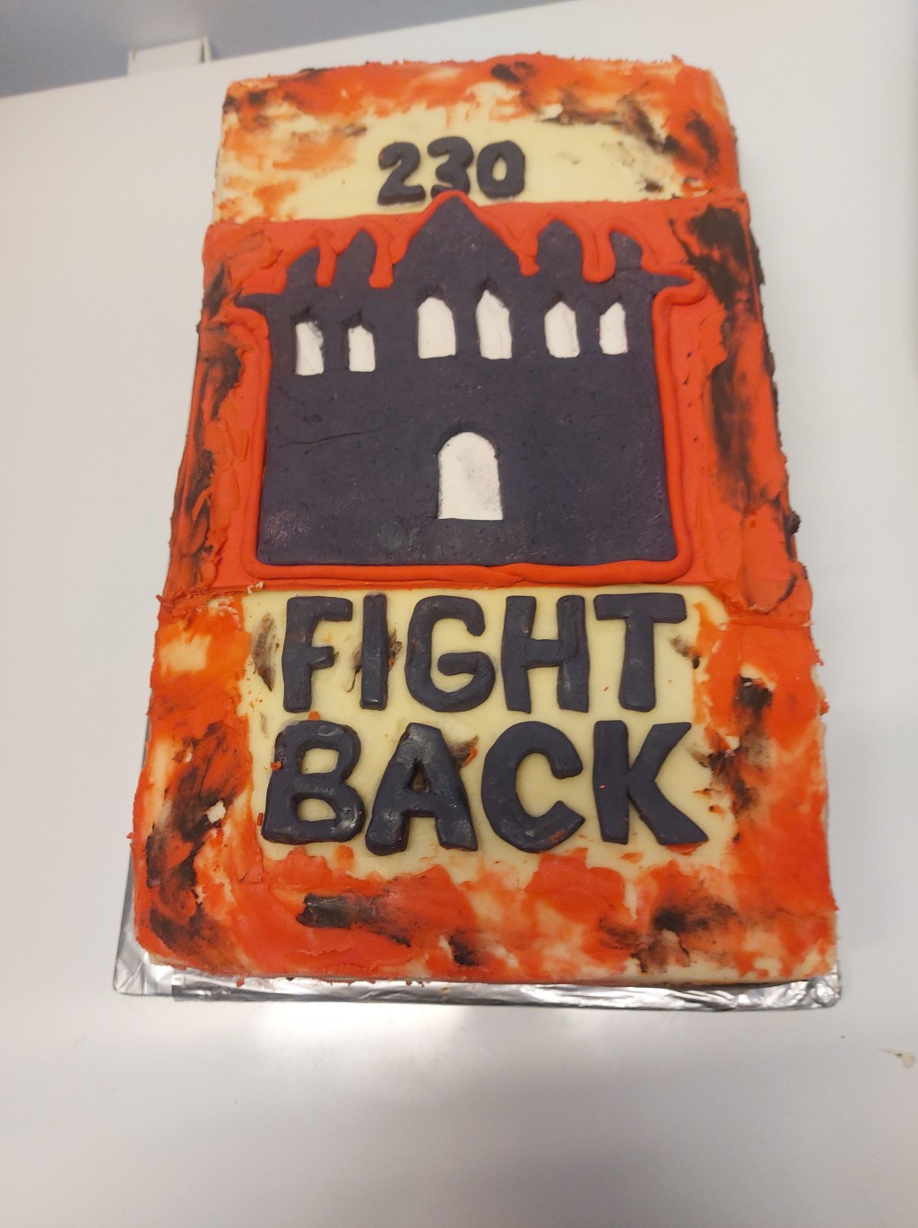 230 Fightback 2026 AGM Report&nbsp;back